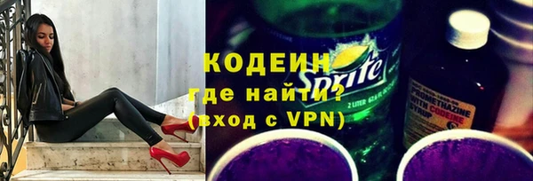 ГАЛЛЮЦИНОГЕННЫЕ ГРИБЫ Арсеньев