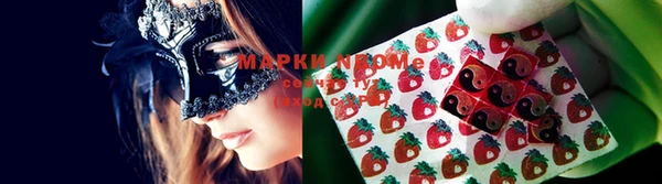 ГАЛЛЮЦИНОГЕННЫЕ ГРИБЫ Арсеньев