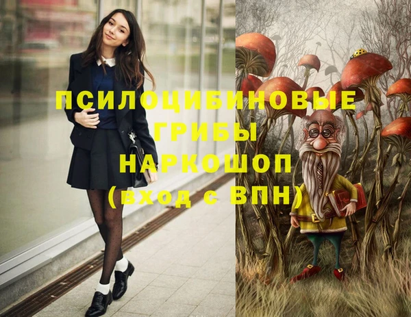 мяу мяу мука Армянск
