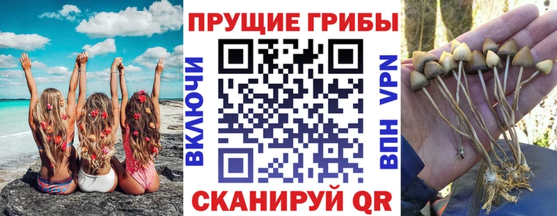 даркнет сайт  Кубинка  блэк спрут онион  Псилоцибиновые грибы Magic Shrooms 